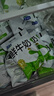 君乐宝（JUNLEBAO）鲜牛奶 200ml*12袋 生牛乳纯牛奶儿童营养早餐低温牛奶 实拍图
