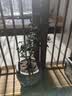 通沭小叶紫檀室内盆栽绿植四季常青植物花卉 小叶紫檀+早安盆源头直发 实拍图