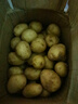 播州鲜贵州新鲜土豆高山马铃薯土豆黄皮黄心土豆5斤农家自种蔬菜 新鲜黄皮土豆9斤 （带箱） 实拍图