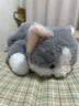 威尔通（WELTSTON）毛绒玩具玩偶抱枕布偶布娃娃送女友生日礼物女生 仿真蓝猫咪公仔 实拍图