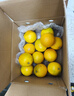 京鲜生 云南哀牢山冰糖橙/橙子 净重5斤 单果130g-170g 生鲜水果礼盒 实拍图