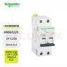施耐德电气 iC65N Vigi+2P一体式漏电保护断路器  A9D65225 iC65N Vigi+2P C 25A 30mA A ELE 实拍图