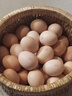 德青源柴垛儿鲜鸡蛋30枚2.58斤 无抗生素 营养早餐 家庭礼盒装 实拍图