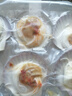 富海锦 蒜蓉粉丝扇贝净重1.6斤 12只大号扇贝肉  海鲜火锅烧烤食材 生鲜 实拍图