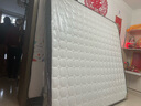 香榭柏兰 椰棕床垫棕垫硬棕榈床垫子 天然乳胶榻榻米床垫定做定制 19CM厚（防螨面料+15cm椰棕+1CM乳胶） 1.8米*2米 实拍图