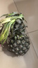 广东徐闻香水菠萝新鲜水果生鲜热带孕妇水果整箱包邮 【限时低价】1个装  单果650g起 实拍图