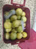 鲜青录广西黄金百香果钦蜜9号新鲜水果黄色白香果西番莲鸡蛋果 净重5斤（单果40-60g） 实拍图