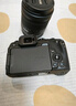 佳能（Canon）EOS RP 全画幅微单数码相机 24-105标准镜头套装 （约2620万像素/轻巧便携） 实拍图
