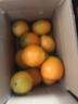 集年鲜江西赣南脐橙当季新鲜橙子水果现摘现发节日送礼生鲜 含箱10斤净重9斤优选果150-230g 实拍图