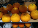 生活＆好管家 四川春见耙耙柑爆浆大果新鲜水果礼盒应季橘子现摘柑橘子桔子 8.5-9斤【性价比高-全家爽吃】净重8斤 果径80-85mm【中大果】 实拍图