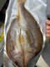 黄小渔南美黄鱼鲞450g/2-3条三去大黄鱼黄花鱼生鲜 海鲜水产烧烤鱼类  实拍图