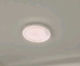 米家（MIJIA）小米米家护眼智能全光谱吸顶灯D40【政府补贴】【包安装】灯具 实拍图