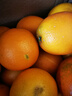 【热销】湖北秭归脐橙鲜果上市 净重9斤70-75m 实拍图
