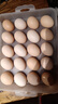 京鲜生可生食标准鲜鸡蛋30枚礼盒装3斤 源头直发 实拍图