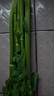 新鲜出土西芹大颗半叶绿色蔬菜榨汁专用甜脆嫩心时令蔬菜现割现发 4斤西芹实惠装 实拍图