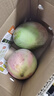 京鲜生 攀枝花凯特芒果 净重4.5斤 单果700g 生鲜水果 源头直发 实拍图