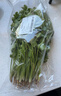 带根香菜100g 实拍图