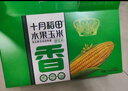 十月稻田 低GI水果甜玉米 8根 3.52斤 真空开袋即食 低脂早餐 粗粮礼盒 实拍图