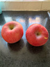 京鲜生 陕西洛川红富士苹果 净重8斤 单果200g 生鲜水果 实拍图