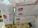 好奇（Huggies）小森林纸尿裤XL32片(12-17kg)尿不湿心钻【透氧顶配更低敏】 实拍图