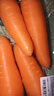 【霜打菜】沙地脆甜胡萝卜约500g  实拍图