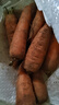 京喜加新鲜现挖现发胡萝卜农家自种蔬菜水果沙地红萝卜 带泥胡萝卜2斤 含箱 实拍图