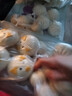 巴比小猪奶黄包300g*2包共12只儿童早餐可爱卡通手工包馒头生鲜面点 实拍图