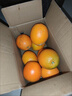 玖原农珍 赣南脐橙现摘新鲜榨汁水果橙子 年货水果礼盒 净果9斤彩箱优选大果240g+ 实拍图