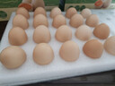 京鲜生减醇可生食鸡蛋20枚/盒 2斤 无抗鲜鸡蛋 源头直发 实拍图