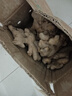 产地直发云南小黄姜新鲜生姜黄姜调味料新鲜蔬菜生鲜 3斤 装 实拍图