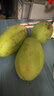 【双十一热卖】玉芒水果芒果新鲜上市 带箱2斤【单果300g+】 实拍图