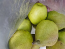 京鲜生 新疆特级库尔勒香梨 净重5斤单果120g以上 生鲜水果 实拍图