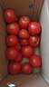 【超市精选】山东沙瓤水果西红柿新鲜番茄蔬菜减肥单果100g起 西红柿中大果 4斤 带箱 实拍图