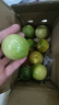 黄金百香果钦蜜9号新鲜当季现摘精选好果水果百香果鲜果酸甜可口 钦蜜9号黄金百香果40~60g中果1斤 实拍图