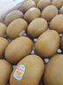 佳沛（zespri）新西兰  阳光金奇异果25-27粒原箱特大果单果约122-146g  猕猴桃 实拍图