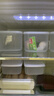 禧天龙冰箱保鲜盒食品级冰箱收纳盒塑料密封盒蔬菜水果冷冻盒 2.7L 3个 实拍图