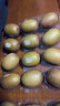 佳沛（zespri）新西兰 阳光金奇异果12粒礼盒特大果单果约122-146g 猕猴桃 水果 实拍图