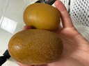 佳沛（zespri）新西兰  阳光金奇异果10粒礼盒巨大果单果约144-175g 水果 猕猴桃 实拍图