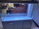 森森（SUNSUN）大型鱼缸底过滤水族箱客厅家用落地玻璃生态金鱼缸 【实时温显+灯控】宝马灰 1.2米长35cm宽 实拍图