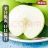 京地达梨砀山翠玉梨翠冠梨新鲜香梨子水果净重8.8斤单果250g+源头直发 实拍图