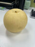 京鲜生 长城皇冠梨 净重10斤 单果200g+ 生鲜水果礼盒 实拍图