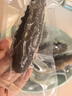 即食海参独立包装新鲜海鲜礼盒鲜食大连海参刺身冷冻辽参优质刺参 精美优质礼盒5斤（50-75头） 实拍图