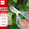 得力（deli）园艺剪刀修剪树枝花艺盆栽剪 家用鲜花插花专用剪刀 绿箩绿植花卉果树 77752 蓝色 实拍图