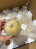 京地达梨砀山酥梨雪梨香梨子水果送礼净重4.8斤单果250g+源头直发 实拍图