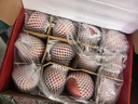 京鲜生 山东栖霞红富士苹果精品12粒 单果190g-240g  水果礼盒 实拍图