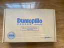 邓禄普（Dunlopillo）ECO按摩波浪枕 斯里兰卡进口天然乳胶枕头  颗粒按摩  实拍图