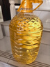 多力【张若昀同款】葵花籽油5L+238ml 食用油 物理压榨 零反式脂肪酸 实拍图