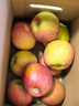 京鲜生 新疆阿克苏苹果 净重5斤装 果径85-90mm 新鲜水果 实拍图