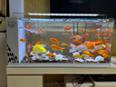 长锐侧滤鱼缸桌面办公室免换水生态水草超白水族箱 K800标配版【长80 宽30 高40】 实拍图