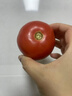 新鲜沙瓤大番茄生吃西红柿减肥早餐即食新鲜蔬菜生鲜单果＞100g 畅销装 2斤 带箱 实拍图